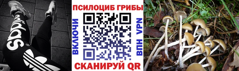 Галлюциногенные грибы MAGIC MUSHROOMS  Фёдоровский 